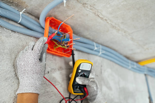 Best Electrician for Home Renovation  in Mason Neck, VA